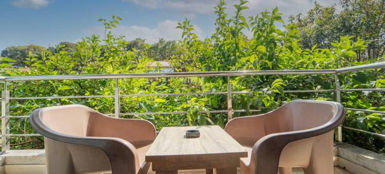 Treebo the Venna Hill图片