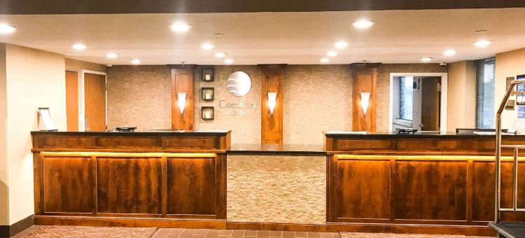 舒适酒店(Comfort Inn)图片