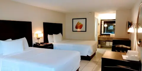 羅德岱堡機場紅地毯酒店