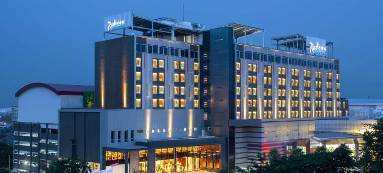 楠榜科达顿丽笙酒店(Radisson Lampung Kedaton)图片