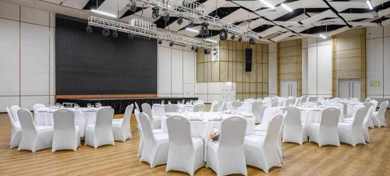 Psb Patriot Cosmos Hotels Hotel图片