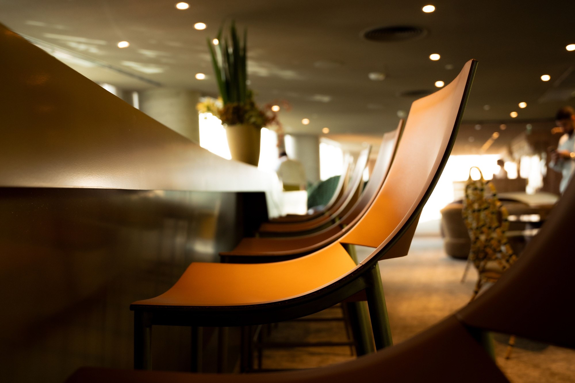 W Sao Paulo Over view