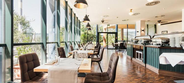 林茨施泰根贝格尔饭店(Steigenberger Hotel Linz)图片