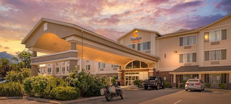 机场舒适套房酒店(Comfort Suites Airport)图片