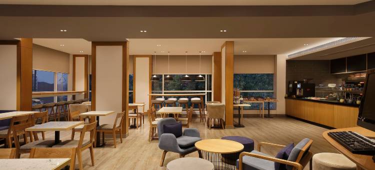 浦那宾布里智选假日酒店(Holiday Inn Express Pune Pimpri)图片