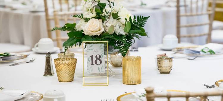 格林贝凯悦酒店(Hyatt Regency Green Bay)图片