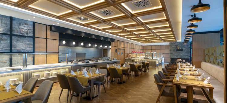 萨皮诺山酒店(Sarpino Mountain Hotel)图片