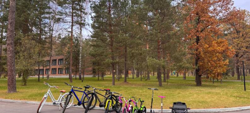 Lesnaya Lastochka图片