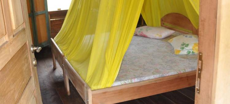 4 Pohon - les 4 Arbres图片