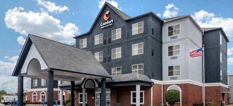 卡尔霍恩舒适套房酒店(Comfort Inn & Suites Calhoun South)图片