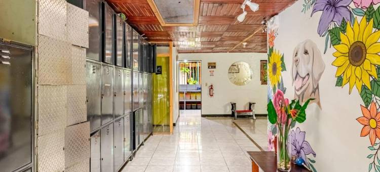 丹塔河旅舍(Rio Danta Hostel)图片