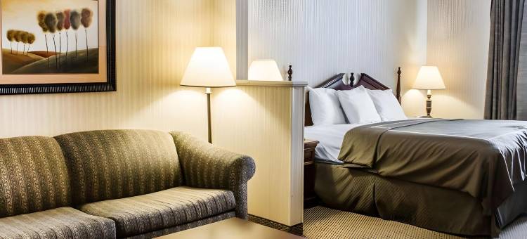 麦卡莱斯特舒适套房酒店(Comfort Suites McAlester)图片