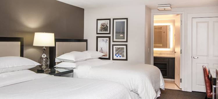 明尼阿波利斯西喜来登酒店(Sheraton Minneapolis West Hotel)图片