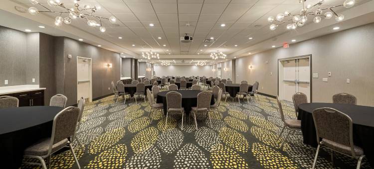 洲际酒店集团假日套房酒店 迪凯特-福赛斯(Holiday Inn & Suites Decatur-Forsyth)图片