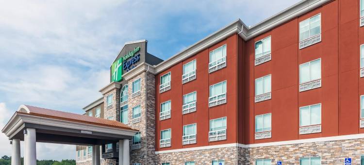 智选假日套房酒店休斯敦航天中心 - 清澈的湖水(Holiday Inn Express & Suites Houston Space Ctr - Clear Lake)图片