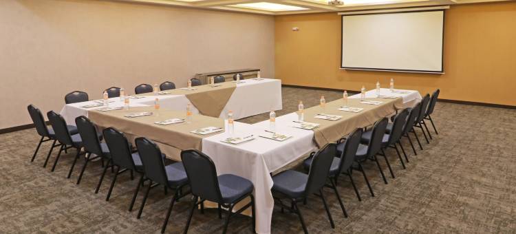 华瑞兹城假日酒店(Holiday Inn Ciudad Juarez)图片