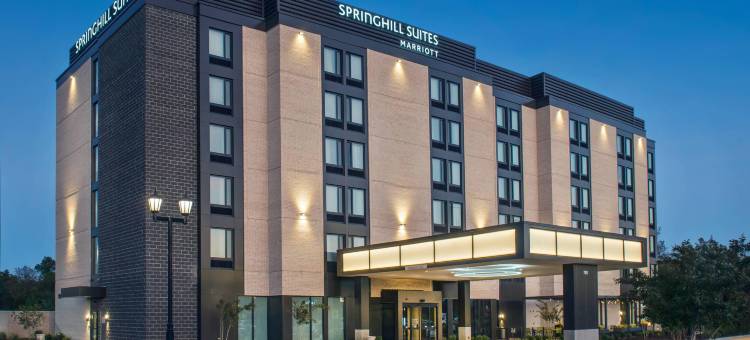 盖恩斯维尔干草市场SpringHill Suites酒店(SpringHill Suites Gainesville Haymarket)图片