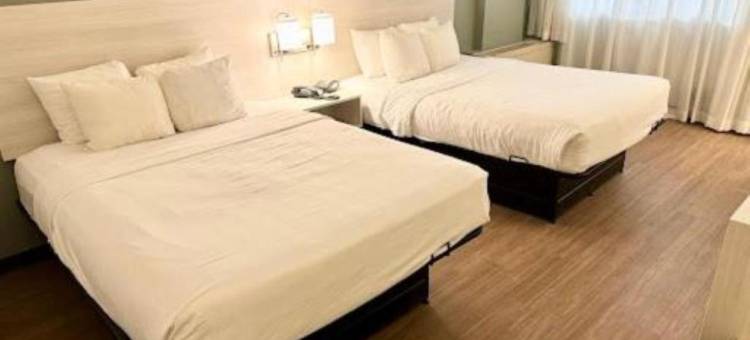 东锡拉丘兹凯瑞尔圈品质酒店及套房(Quality Inn & Suites East Syracuse - Carrier Circle)图片