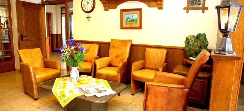 机场瓦尔多夫酒店(Airport Hotel Walldorf)图片