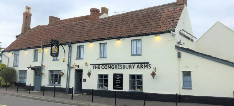 康格雷斯伯里阿姆斯酒店(The Congresbury Arms)图片