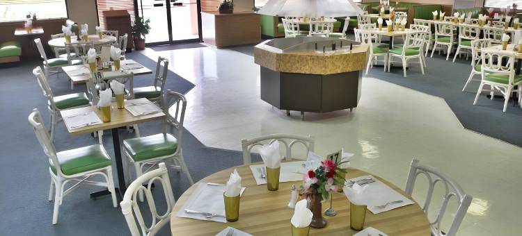 大巴哈马岛漂流套房度假村(Castaways Resort and Suites)图片