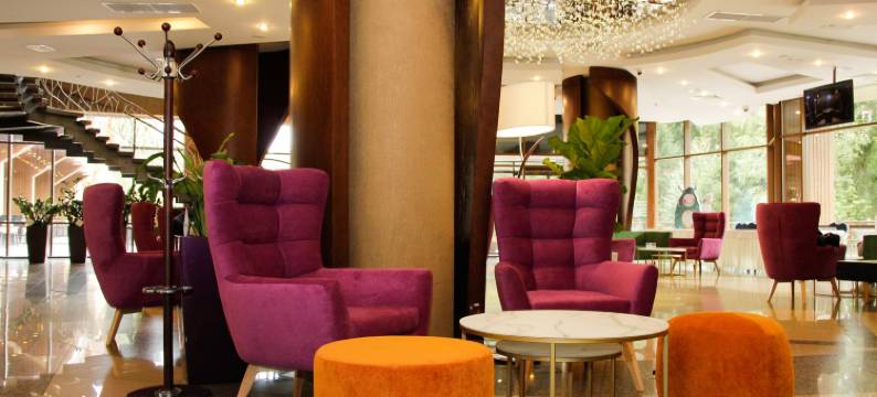 爱雷欧会议酒店(Areal Congress Hotel)图片