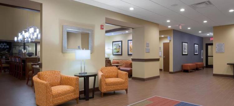 希尔顿欢朋套房酒店-洛诺克(Hampton Inn & Suites Lonoke)图片