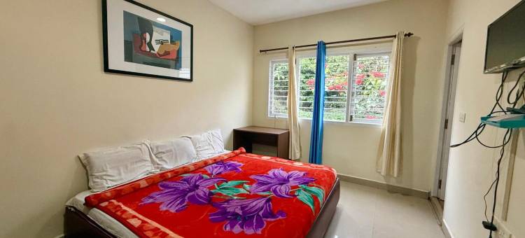 尼尔吉里斯旅馆(Nilgiris Inn)图片