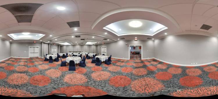 Holiday Inn 移动西 - I - 10(Holiday Inn Mobile West - I-10)图片