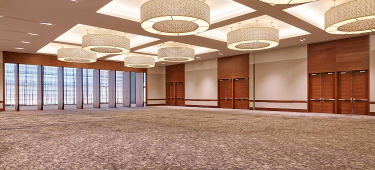 达拉斯商业街威斯汀酒店(The Westin Galleria Dallas)图片