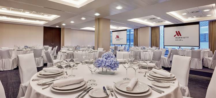 巴塞尔万豪酒店(Basel Marriott Hotel)图片