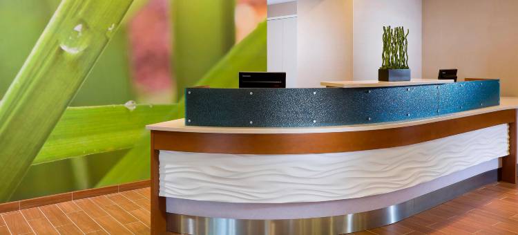 费城兰霍恩万豪SpringHill Suites 酒店(SpringHill Suites Philadelphia Langhorne)图片