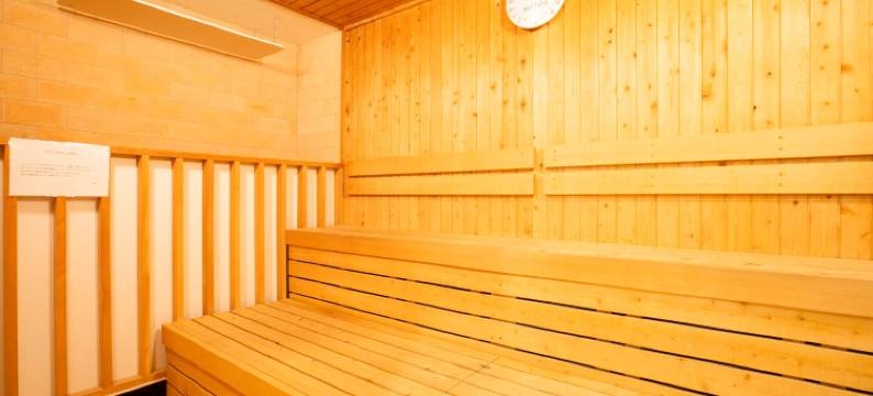 札幌大通公园洲际假日套房酒店(Holiday Inn & Suites Sapporo Odori Park by IHG)图片