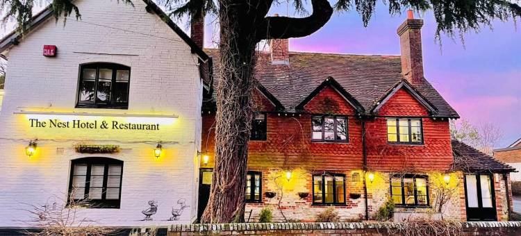 鸟巢酒店和餐厅(The Nest Hotel & Restaurant)图片