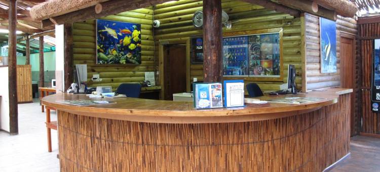 珊瑚潜水者酒店(Coral Divers)图片