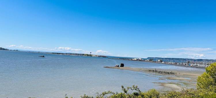 锚旅馆汽车旅馆(Anchor Inn Motel by Loyalty)图片