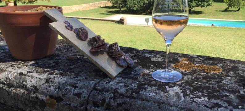 拉马丁区民宿(Domaine de Lamartine)图片