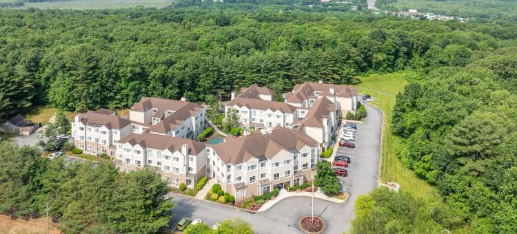 艾维亚公寓式酒店-研究路(Avia Residences on Research - Extended Stay)图片