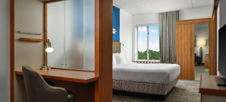 匹兹堡芒特莱巴嫩万豪SpringHill Suites 酒店(SpringHill Suites Pittsburgh Mt. Lebanon)图片