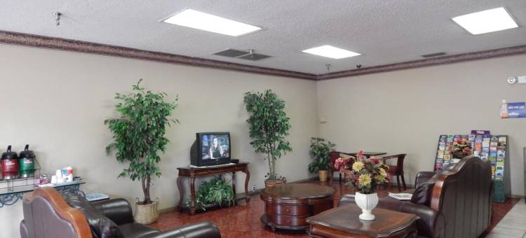 普兰特城骑士酒店(Knights Inn Plant City)图片