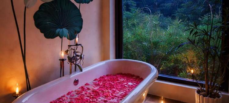 哈尼劳丛林旅馆(Aloof the Jungle Lodge Ranakpur)图片