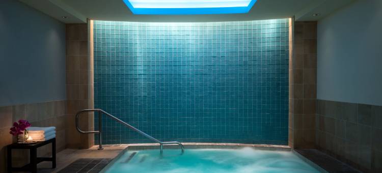 达拉斯丽思卡尔顿酒店(The Ritz-Carlton, Dallas)图片