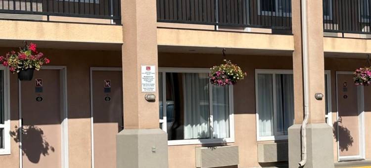 伊克诺套房旅馆(Econo Lodge Inn & Suites)图片