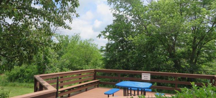 森特维尔温德姆速8酒店(Super 8 by Wyndham Centerville)图片