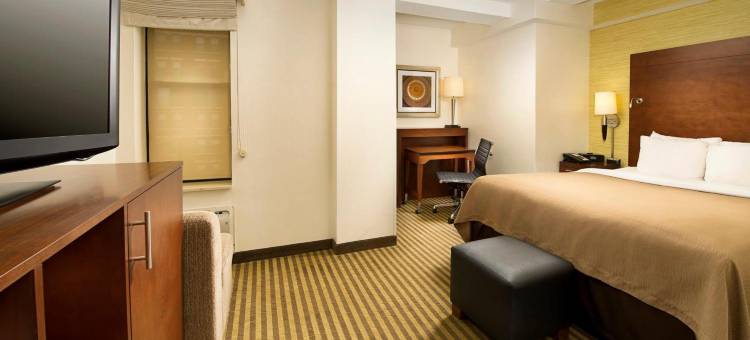 舒适酒店-特区市区/会议中心(Comfort Inn Downtown DC/Convention Center)图片