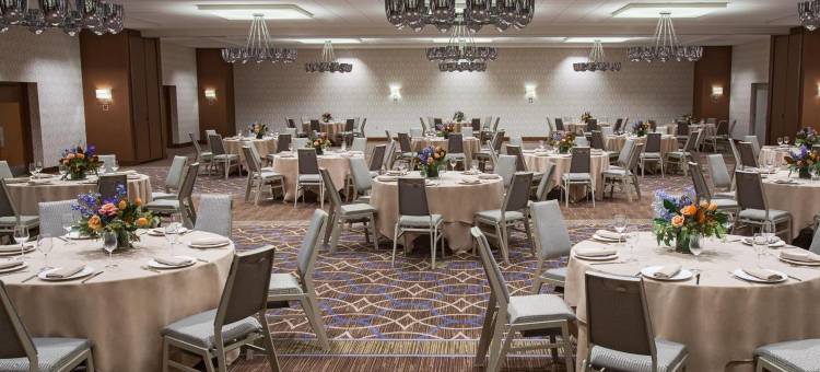 匹兹堡机场喜来登酒店(Sheraton Pittsburgh Airport Hotel)图片