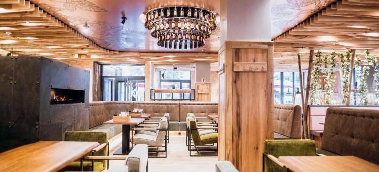 阿米亚酒店辛根(Amia Hotel Singen)图片