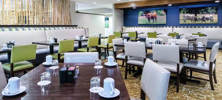科兹达拉斯-沃斯堡国际机场西区酒店(Kozy Hotel Dallas DFW Airport Area West)图片