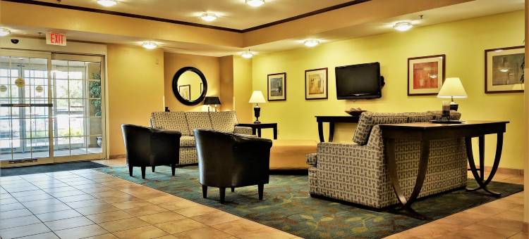 梅肯洲际Candlewood Suites酒店(Candlewood Suites MACON by IHG)图片