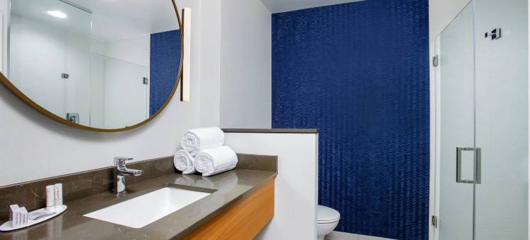 哈里斯堡西/梅卡尼克斯堡万枫酒店及套房(Fairfield Inn & Suites Harrisburg West/Mechanicsburg)图片